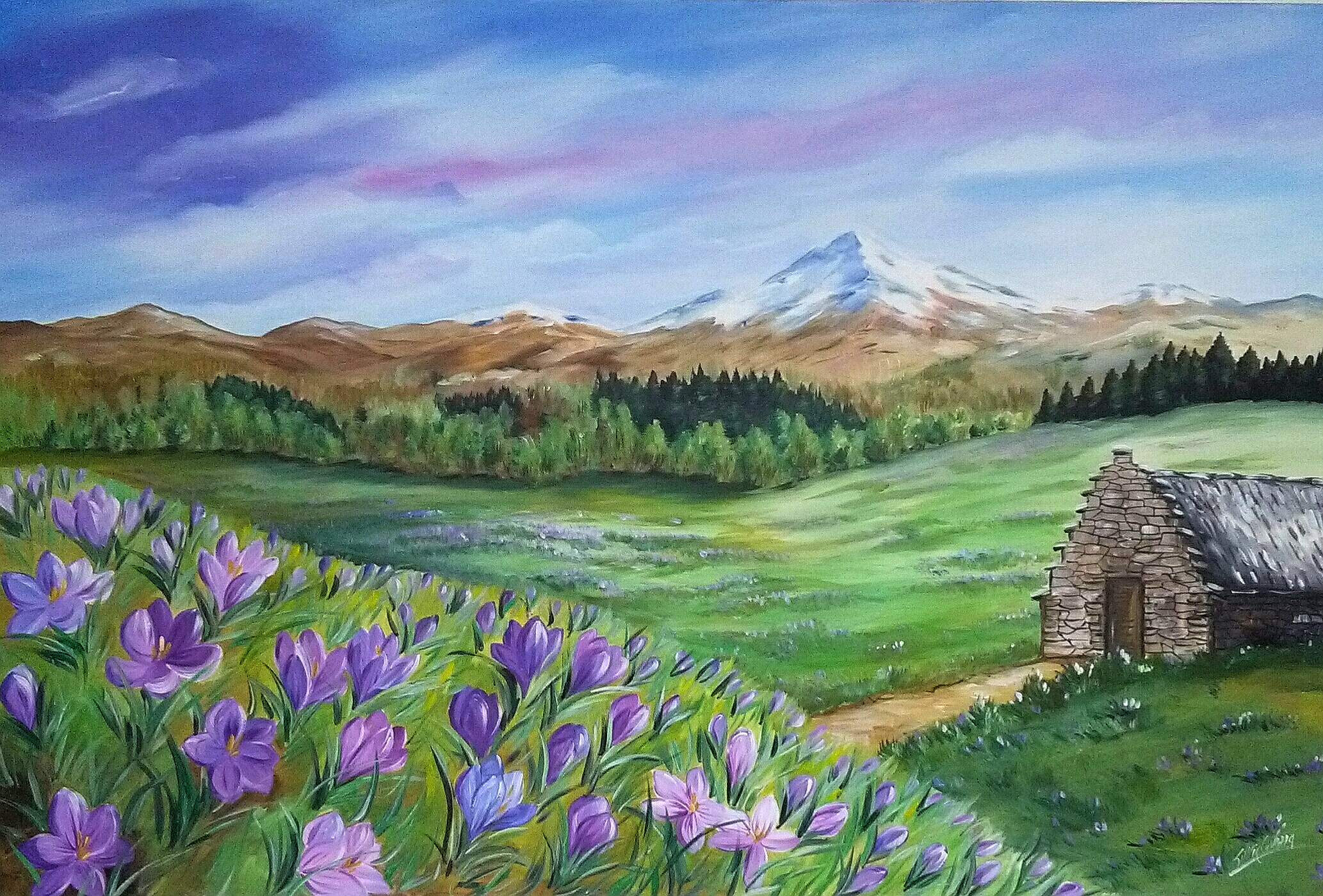 Cimone a primavera