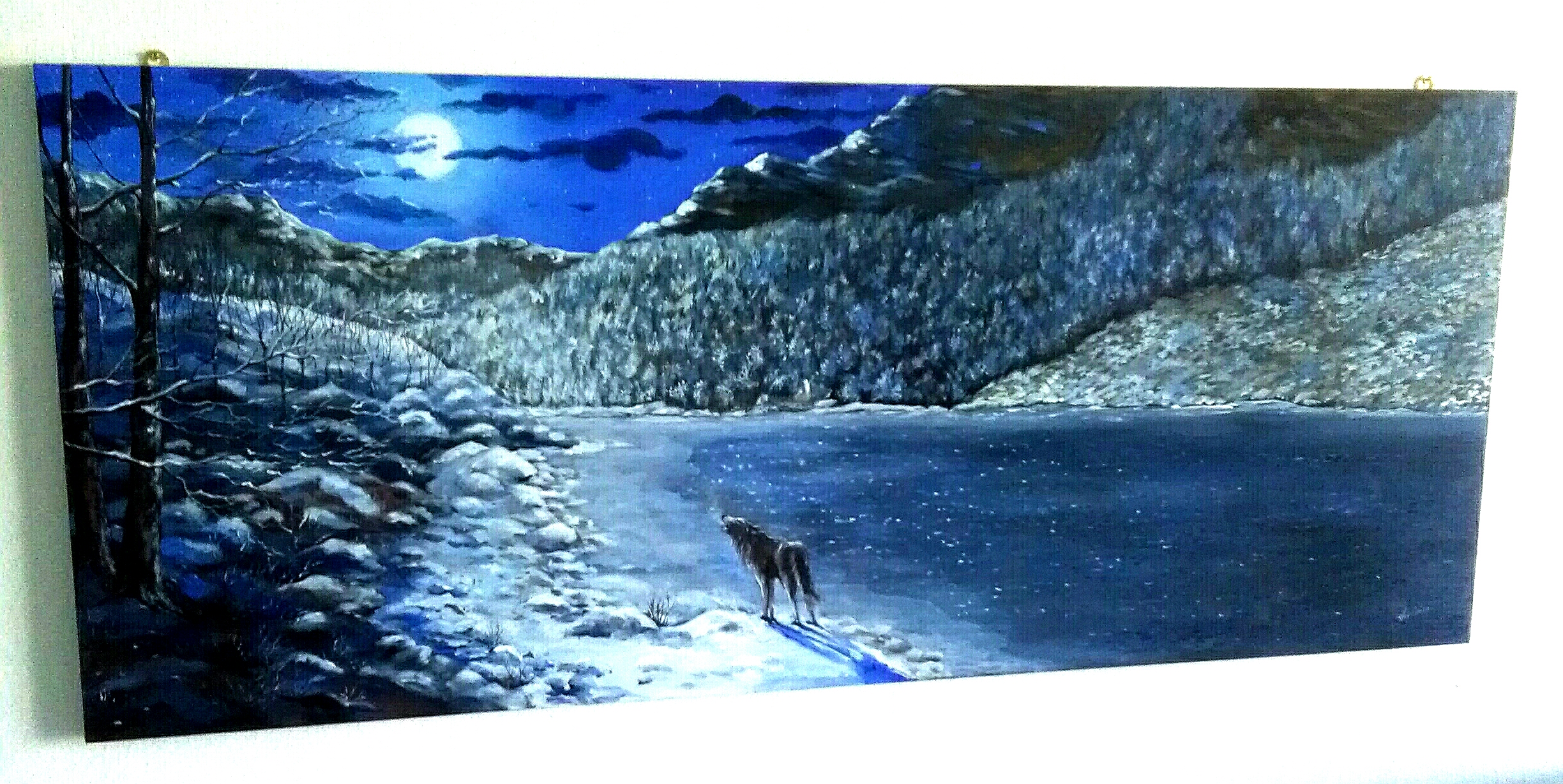 Lago Santo modenese,notturno invernale. Tavola di legno 150×60