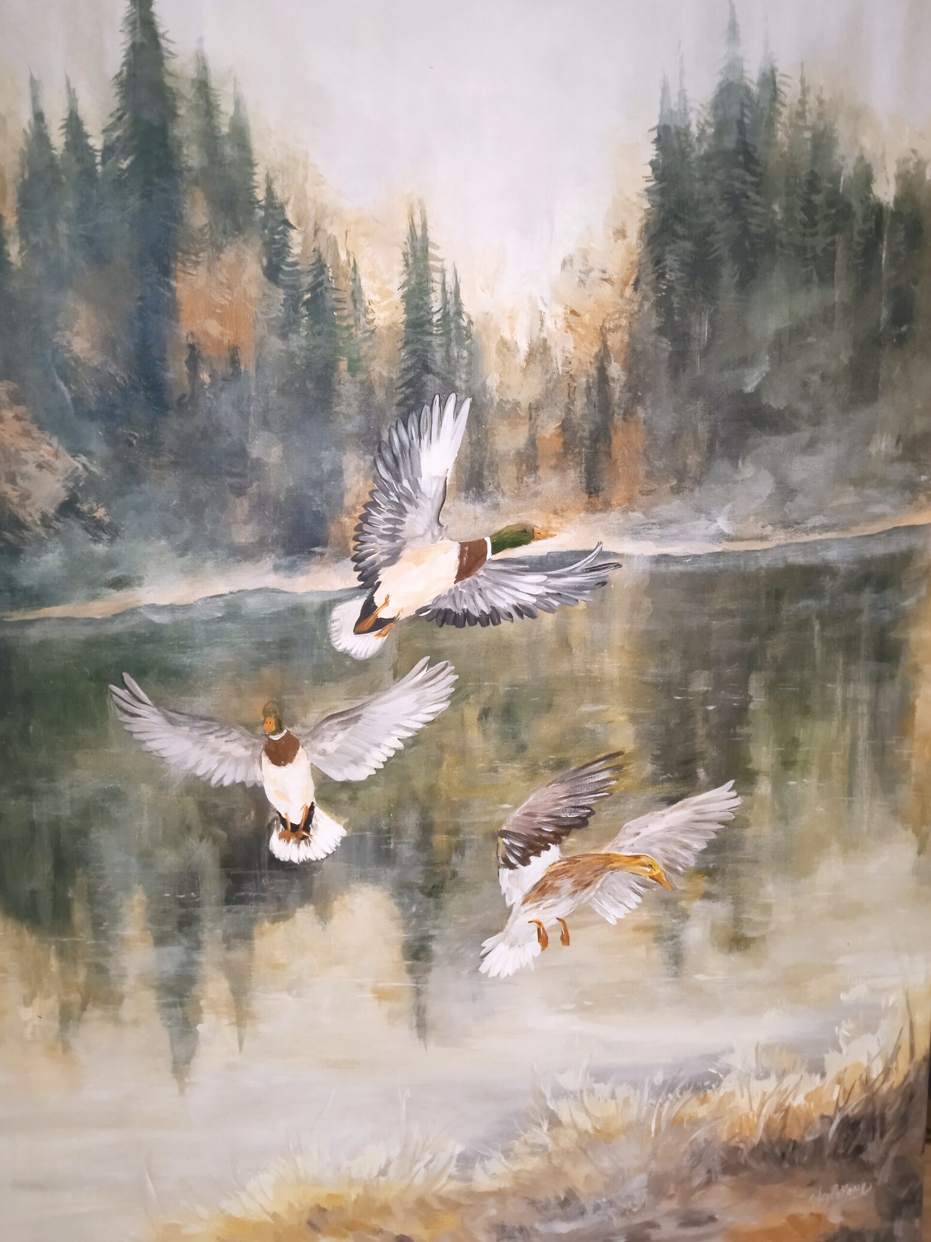 Germani in volo